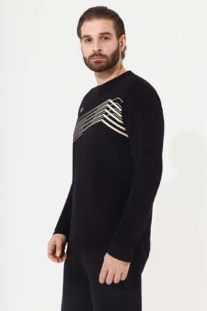 M14110G-BB251 Футболка длинный рукав мужская (черный)