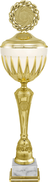 6377 Кубок Коралли 