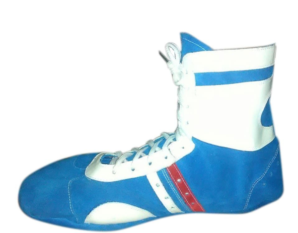 Самбовки синие