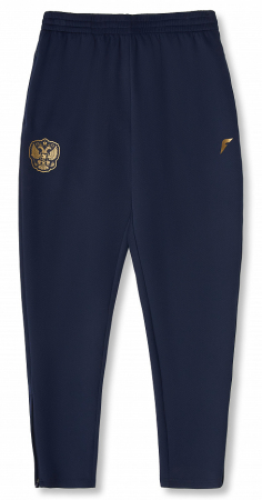 M05280FT-NN241 Брюки тренировочные мужские (синий/синий)