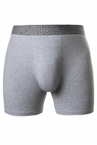 M18530SF-GN242 Комплект трусы боксеры классические мужские 2 шт (серый/синий)