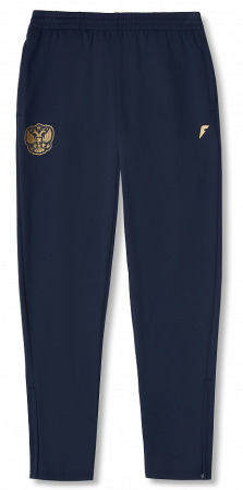 M05273FT-NN241 Брюки тренировочные мужские (синий/синий)