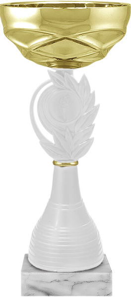 5699 Кубок Шаник