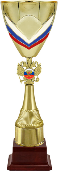 4260 Кубок Парамон