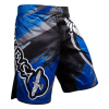 Шорты Hayabusa HBB-006  (черый/синий)