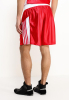 Шорты бокс красные Adidas / AdiTB152