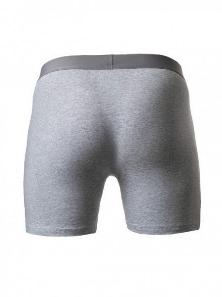 M18530SF-GN242 Комплект трусы боксеры классические мужские 2 шт (серый/синий)