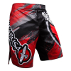 Шорты Hayabusa HBR-008 (черный/красый)