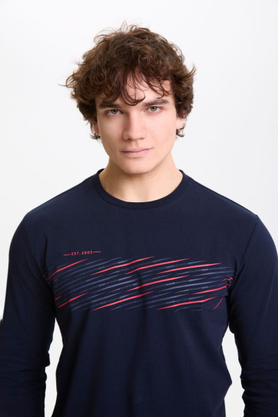 M14110G-NN252 Футболка длинный рукав мужская (синий)