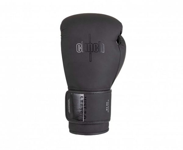 Перчатки боксёрские Clinch Mist 2.0 чёрные C183