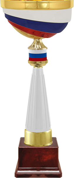 4652 Кубок Россия