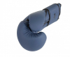Перчатки боксёрские Clinch Mist 2.0 синие С183