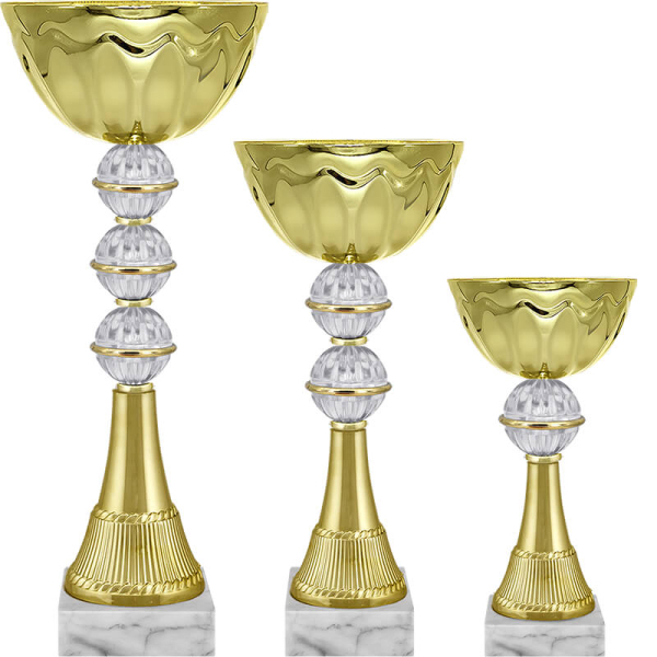 4593 Кубок Изольда