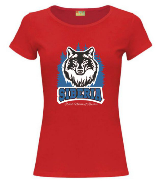 Д-12ТС Футболка ДЗЮДО детская длинный рукав /СН