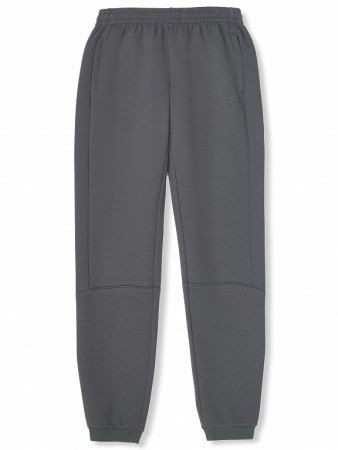 M04220G-GG241 Брюки тренировочные мужские (серый/серый)